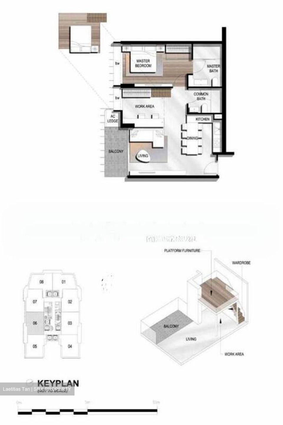 The Scotts Tower (D9), Condominium #503939931